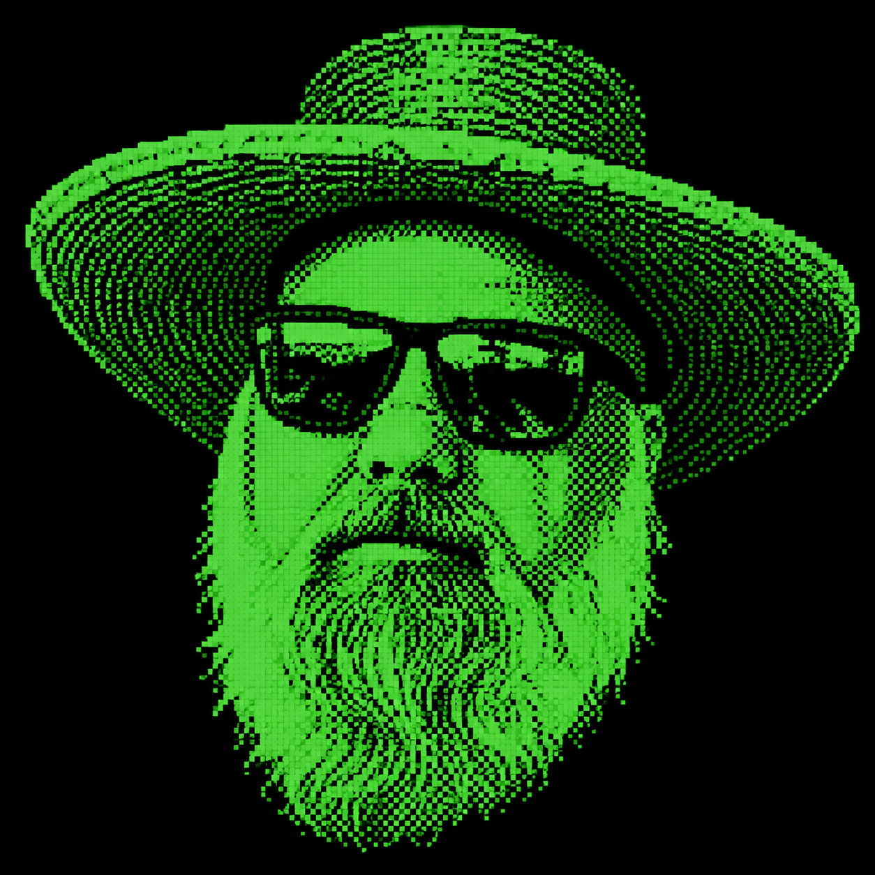 Lost Hippy terminal host pixel portrait